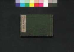 役者出情噺 江戸 / Yakusha Shusse Banashi (Ranking and Critique of Kabuki Actors): Edo image