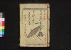 女郎花五色石台 二編 / Ominaeshi Goshiki Sekidai (Book of Literature), Part 2 image