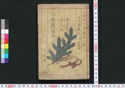邯鄲諸国物語 / Kantan Shokoku Monogatari (Supernatural Tales of Various Places in Japan) image
