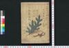邯鄲諸国物語 初・二編/Kantan Shokoku Monogatari (Supernatural Tales of Various Places in Japan), Part 1–2 image