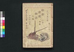 邯鄲諸国物語 七編・八編 / Kantan Shokoku Monogatari (Supernatural Tales of Various Places in Japan), Part 7–8 image