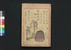 邯鄲諸国物語 十一編・十二編 / Kantan Shokoku Monogatari (Supernatural Tales of Various Places in Japan), Part 11–12 image