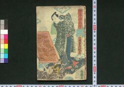 雲竜九郎偸盗伝 / Unryū Kurō Chūtōden (Book of Literature) image