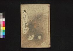 濡衣女鳴神 九編 / Nuregoromo Onna Narukami (Book of Literature), Part 9 image