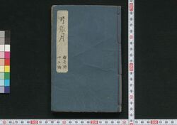 弓張月春廼霄栄 十一編・十二編 / Yumiharizuki Haru no Yūbae (Book of Literature), Part 11–12 image