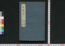 弓張月春廼霄栄 十九編・廿編 / Yumiharizuki Haru no Yūbae (Book of Literature), Part 19–20 image