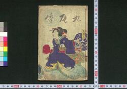 新局九尾伝 / Shinkyoku Kyūbiden (Book of Literature) image