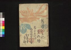 薄俤幻日記 九・十編 / Usu Omokage Maboroshi Nikki (Book of Literature), Part 9–10 image