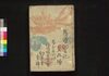 薄俤幻日記 九・十編/Usu Omokage Maboroshi Nikki (Book of Literature), Part 9–10 image