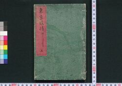 東京妓情 / Tokyo Gijō (Book of Lifestyle and Folkcustom) image