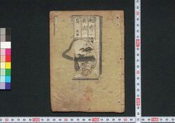 敵討巌流島 / Katakiuchi Ganryūjima (The Vengeance of Miyamoto Musashi) image