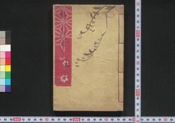 柳の横櫛 二編 / Yanagi no Yokogushi (Book of Literature), Part 2 image
