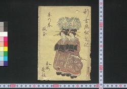 新吉原細見記 / Shin Yoshiwara Saikenki (Guidebook for Visitors to New Yoshiwara District) image