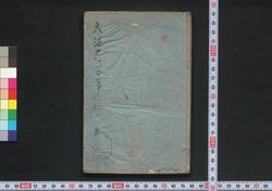 大江戸さいけん / Ōedo Saiken (Guidebook for Visitors to Edo) image