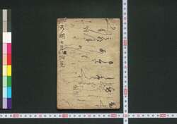吉原細見 / Yoshiwara Saiken (Guidebook for Visitors to Yoshiwara District) image