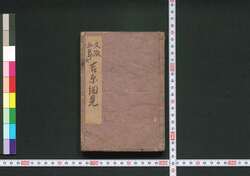 ［新吉原細見］ / [Shin Yoshiwara Saiken] (Guidebook for Visitors to New Yoshiwara District) image