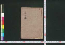 ［新吉原細見］ / [Shin Yoshiwara Saiken] (Guidebook for Visitors to New Yoshiwara District) image