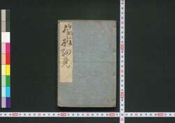 ［新吉原細見］ / [Shin Yoshiwara Saiken] (Guidebook for Visitors to New Yoshiwara District) image