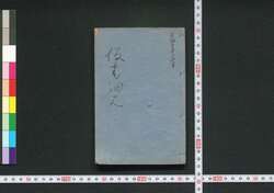 仮宅細見 / Karitaku Saiken (Guidebook to Temporary Lodgings of New Yoshiwara District) image