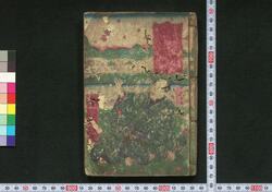 夜嵐於鬼奴花廼仇夢 四編 / Yoarashi Okinu Hana no Adayume (Book of Literature), Part 4 image