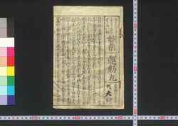 妙薬運動丸 / Myōyaku Undōgan (Book of Medicines for Digestive System and Jaundice) image