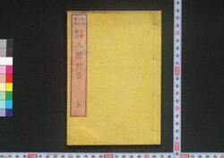 小学画引人体問答 / Shōgaku Ebiki Jintai Mondō (Illustrated Textbook of Human Anatomy for Elementary School Students) image