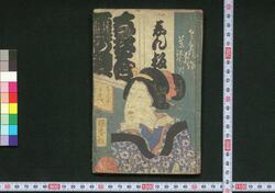 しん板なぞ合雪の翌 / Shimpan Nazoawase Yuki no Ashita (Book of Literature) image