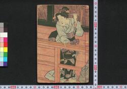 江戸紫 春雨の巻 / Edo Murasaki Harusame no Maki (Book of Literature) image