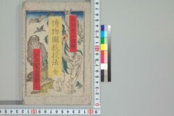 博物図教授法 / Hakubutsuzu Kyōjuhō (Handbook of National History Teaching) image