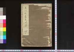 安政見聞録 / Ansei Kemmonroku (Account of the Ansei Edo Earthquake) image