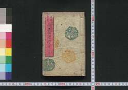 貞操節義明治烈婦伝 第一巻 / Teisō Setsugi Meiji Reppuden (Book of History), Vol. 1 image