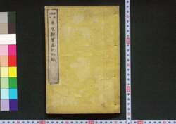 東京新繁昌記 / Tokyo Shin Hanjōki (New Prosperity of Tokyo) image