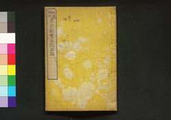 東京新繁昌記 五編 / Tokyo Shin Hanjōki (New Prosperity of Tokyo), Part 5 image