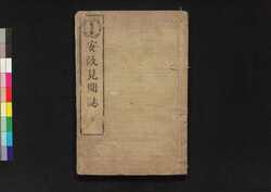 安政見聞誌 下 / Ansei Kemmonshi (Reportage of the Ansei Edo Earthquake), 3 image