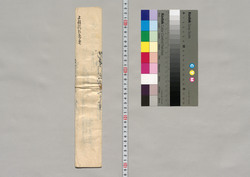 地守引受証文之事(幕臣蜷川家文書) / Document of Samurai Class image