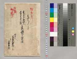 去亥年御注文当子年上納過納御代金仕訳帳 / Document of Hachijojima image