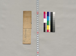 飯田山之助宛書簡(薬代返済期限延引の御願) / Document of Saku District, Shinano Province image