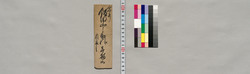 飯田山之助宛書簡(入用重なり金借用願い) / Document of Saku District, Shinano Province image
