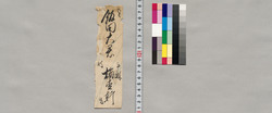 飯田宛書簡(大根、ねぎ献上の際の添え文) / Document of Saku District, Shinano Province image