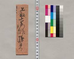 助右衛門宛書簡(麁茶進上したき旨) / Document of Saku District, Shinano Province image