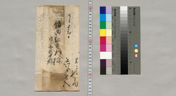 飯田助右衛門・御家内宛書簡（当年蚕違作等による窮状につき） / Document of Saku District, Shinano Province image