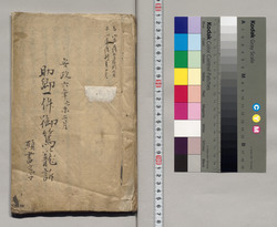 助郷一件御駕籠訴願書之写(軽井沢宿) / Document of Litigation image
