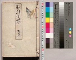 朝顔図説 / Morning Glory Illustrated image