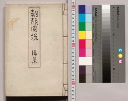 朝顔図説 下 / Morning Glory Illustrated, 2 image