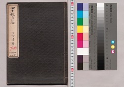 ウキヨ格子 第一巻零号 image