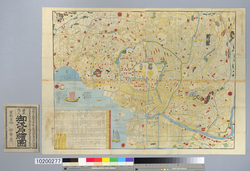 嘉永改正御江戸絵図 image