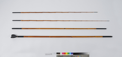 江戸和竿（鯔竿） / Edo Wazao (Bamboo Fishing Rod) for Mullet image