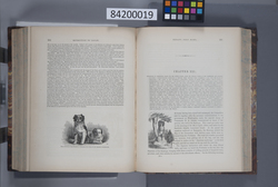 ペリ-提督日本遠征記 / Narrative of the Expedition of an American Squadron to the China Seas and Japan image