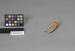 玩具 蝉 / Toy: Cicada image