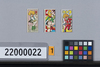 角メンコ　サイボーグ009　009島村ジョー（赤服) / Square Menko, Cyborg 009, 009 Shimamura Joe (Red Uniform) image